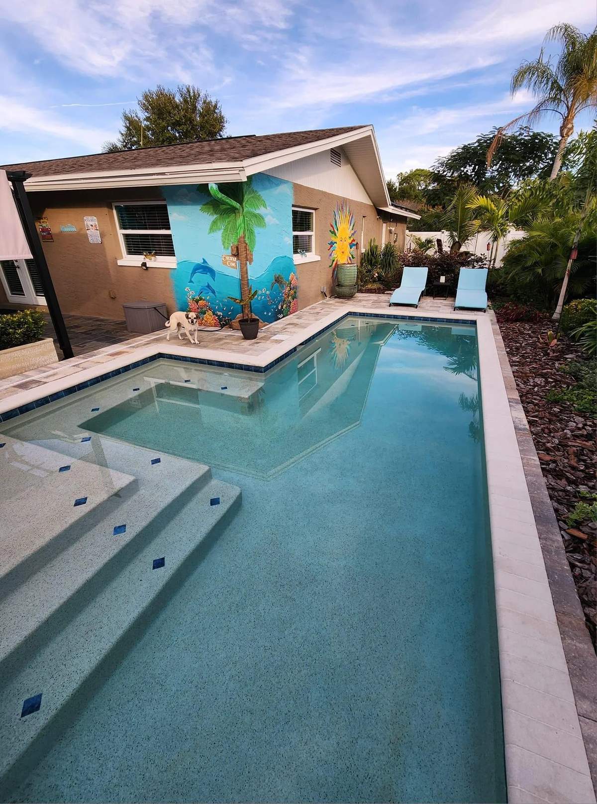 Modern narrow pool with tanning shelf next to a colorful tropical mural