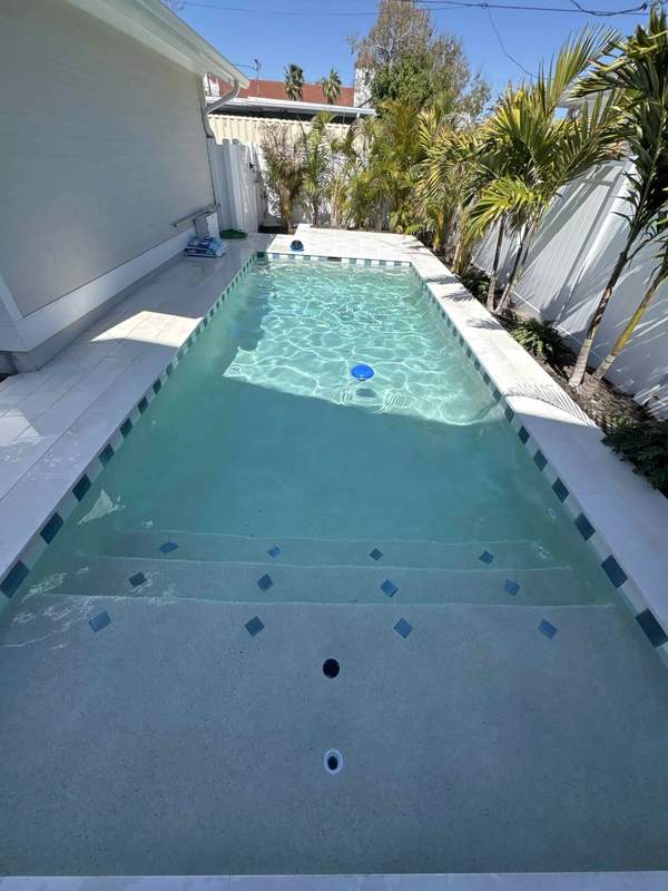 Narrow rectangular concrete lap pool lined with palm trees and a white fence